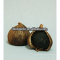 Healthy Natural Food Herb Solo Black Garlic 1 bulb/bag